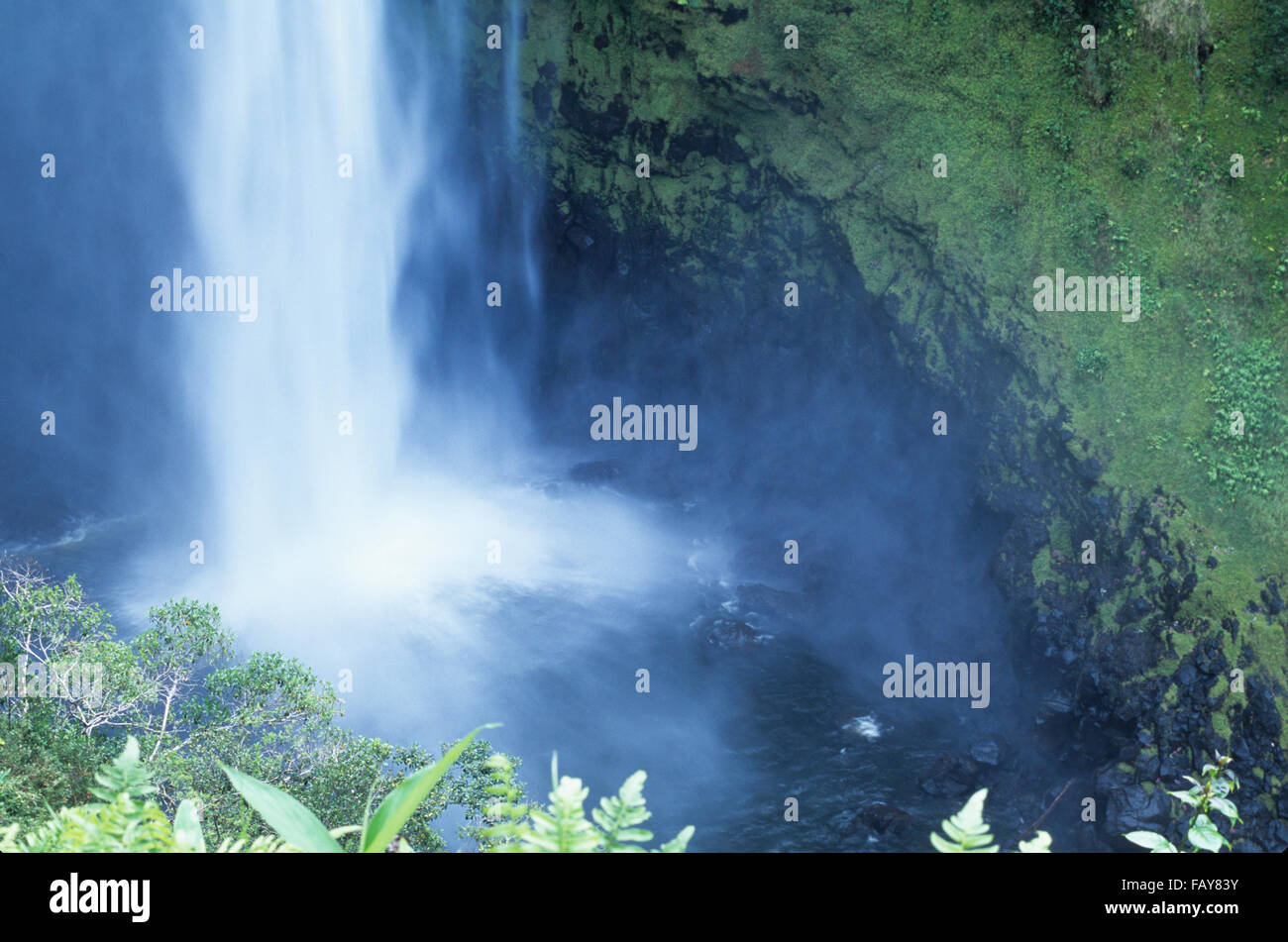Big Island, Hawaii, `Akaka Falls detail, waterfall, Kolekole Stream Stock Photo